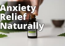 Top Cbd For Anxiety: The Ultimate Guide To Safe And Effective Treatment