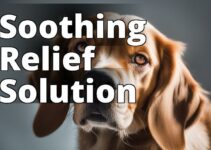 The Ultimate Guide To Cbd Oil Benefits For Hot Spots In Dogs: Say Goodbye To Irritation!