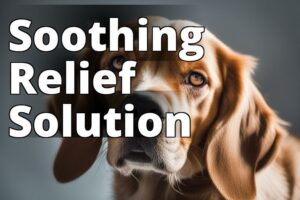 The Ultimate Guide To Cbd Oil Benefits For Hot Spots In Dogs: Say Goodbye To Irritation!