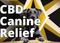 The Ultimate Guide To Cbd Oil Benefits For Seizures In Dogs