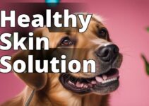 Unleashing The Power Of Cbd Oil: Skin Allergy Relief For Dogs