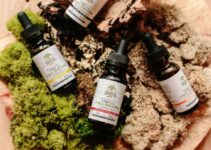 Why Is Cbd Oil Favored For Pain Management In Alternative Medicine?